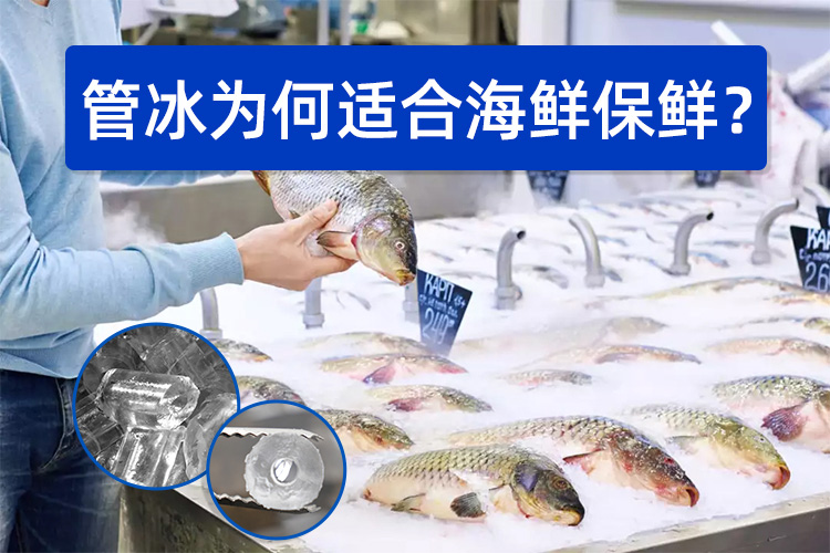 管冰為何如此適合海鮮保鮮？