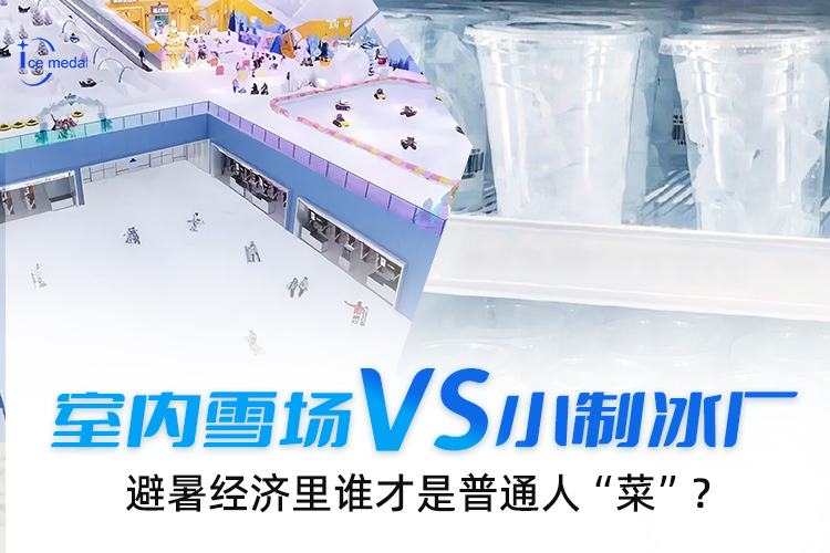室內(nèi)雪場VS小制冰廠，避暑經(jīng)濟(jì)里誰才是普通人“菜”？